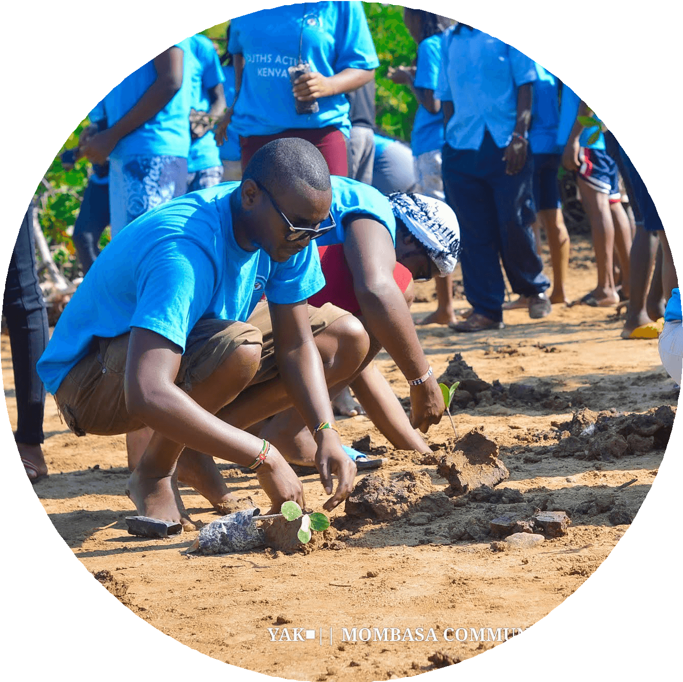 Community beach planting initiative