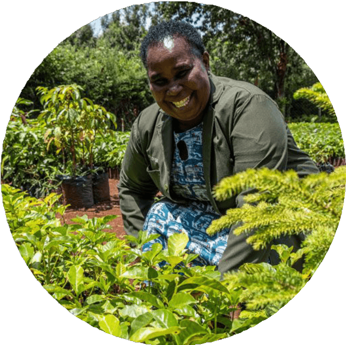 Community member working in a plant nursery