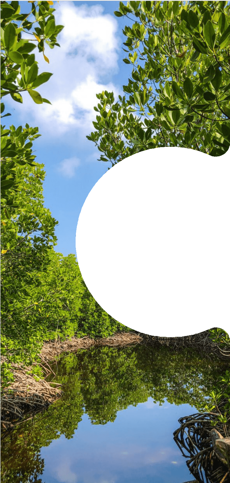 Lake Bogoria Ecosystem