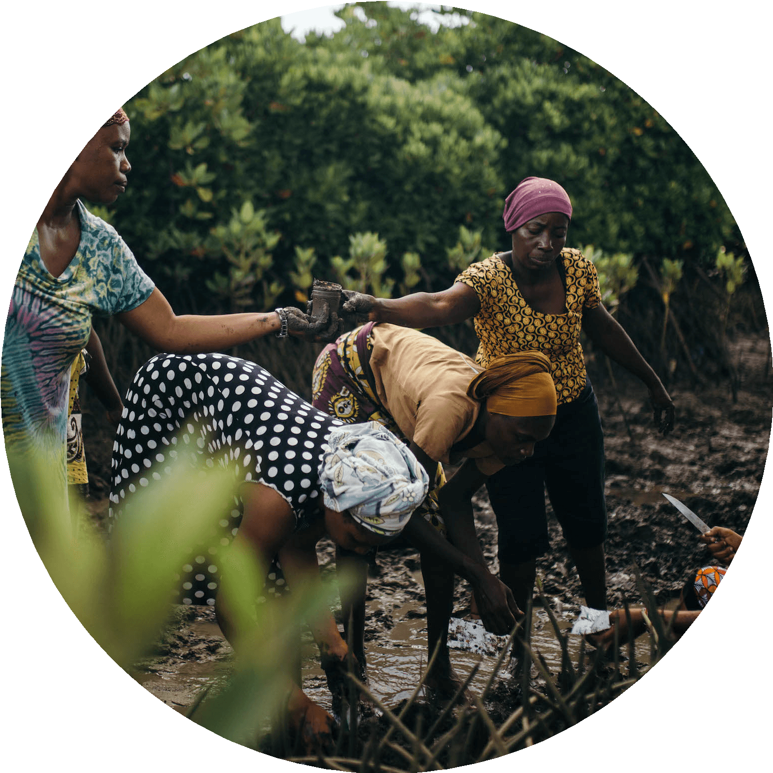 Community conservation